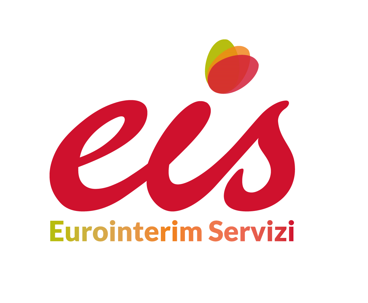 logo eis nopayoff